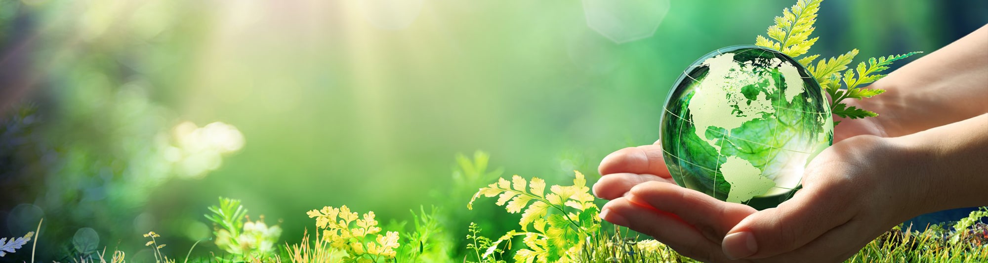 banner eco min