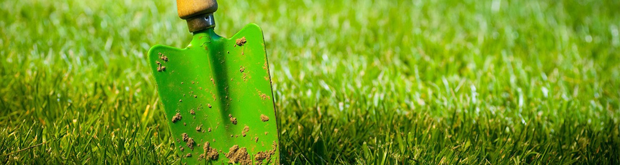 banner eco min