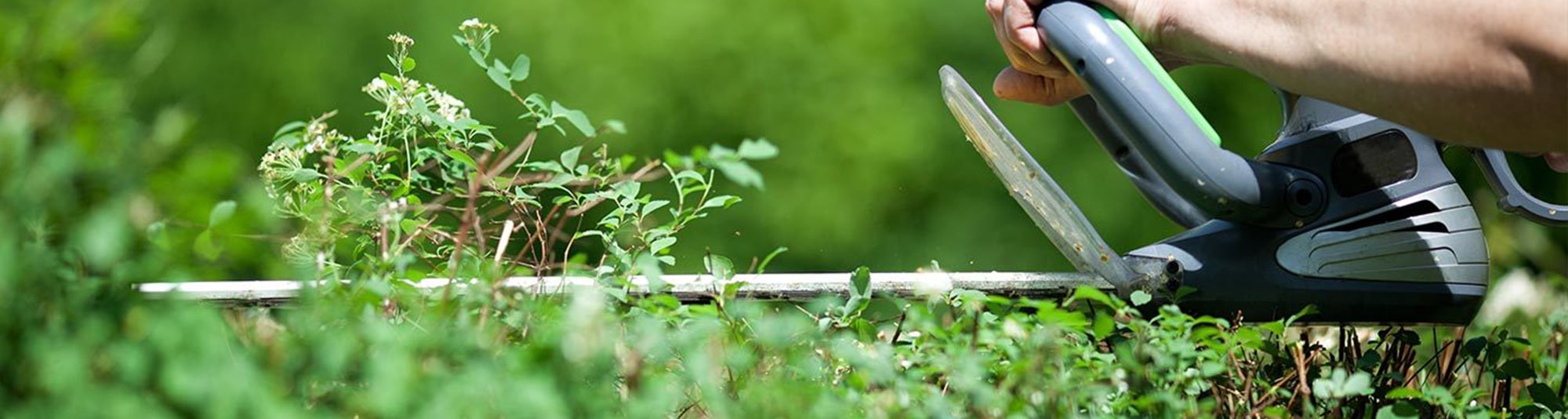 banner eco min